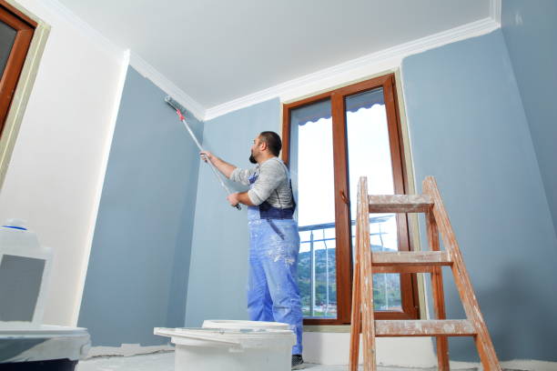 Professional Drywall & Painting Services in Ridgway, CO